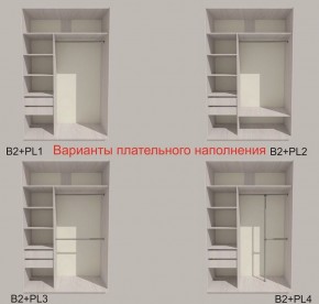 Шкаф-купе 1500 серии SILVER S1+S1+B2+PL2 (2 ящика+1 штанга+1 полка) профиль «Серебро» в Шадринске - shadrinsk.ok-mebel.com | фото 6