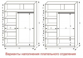 Шкаф-купе 1600 серии SOFT D1+D3+B2+PL1 (2 ящика+1штанга) профиль «Графит» в Шадринске - shadrinsk.ok-mebel.com | фото 6