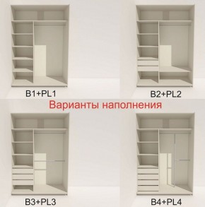 Шкаф-купе 1600 серии SOFT D8+D2+B2+PL4 (2 ящика+F обр.штанга) профиль «Графит» в Шадринске - shadrinsk.ok-mebel.com | фото 6