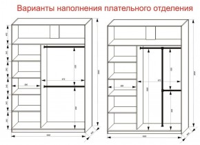 Шкаф-купе 1600 серии SOFT D8+D2+B2+PL4 (2 ящика+F обр.штанга) профиль «Графит» в Шадринске - shadrinsk.ok-mebel.com | фото 8