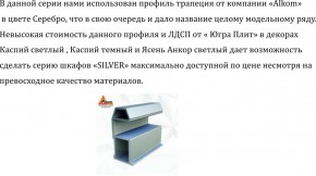 Шкаф-купе 1700 серии SILVER S5+S5+B2+PL3 (2 ящика+2 штанги) профиль «Серебро» в Шадринске - shadrinsk.ok-mebel.com | фото 4