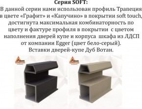 Шкаф-купе 1800 серии SOFT D1+D3+B2+PL1 (2 ящика+1штанга) профиль «Графит» в Шадринске - shadrinsk.ok-mebel.com | фото 11