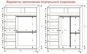 Шкаф-купе 1800 серии SOFT D8+D2+B2+PL4 (2 ящика+F обр.штанга) профиль «Графит» в Шадринске - shadrinsk.ok-mebel.com | фото 8