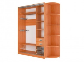 Шкаф-купе Элвис 1500 вариант 1 (ЛДСП/ЛДСП) в Шадринске - shadrinsk.ok-mebel.com | фото 3