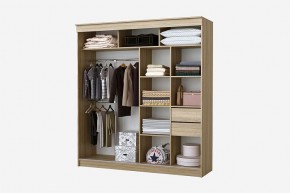 Шкаф-купе Орион 2.0 серия Альянс (дуб сонома) в Шадринске - shadrinsk.ok-mebel.com | фото 2
