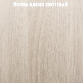 Шкаф-купе «ТАНДЕМ» 2-х дверный в алюминиевом профиле (Дверь ЛДСП+Z) 1600/h2200 в Шадринске - shadrinsk.ok-mebel.com | фото 6