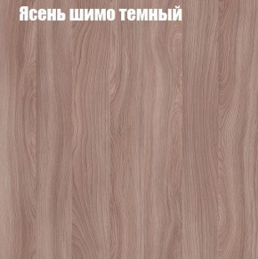 Шкаф-купе «ТАНДЕМ» 2-х дверный в алюминиевом профиле (Дверь ЛДСП+Z) 1600/h2200 в Шадринске - shadrinsk.ok-mebel.com | фото 7