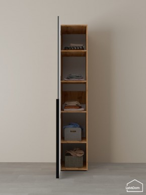 Шкаф Linnea MHR-1-2 2050х400х510 (ДВ-М 11.1.25) в Шадринске - shadrinsk.ok-mebel.com | фото 4