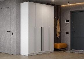Шкаф платяной Бирма в Шадринске - shadrinsk.ok-mebel.com | фото 5