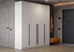 Шкаф платяной Бирма в Шадринске - shadrinsk.ok-mebel.com | фото 4