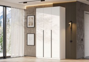 Шкаф платяной Даиго в Шадринске - shadrinsk.ok-mebel.com | фото 3