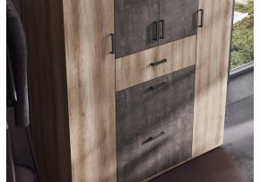 Шкаф платяной Паркинс в Шадринске - shadrinsk.ok-mebel.com | фото 3