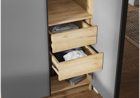 Шкаф платяной Широн в Шадринске - shadrinsk.ok-mebel.com | фото 3
