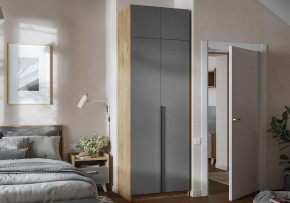 Шкаф платяной Широн в Шадринске - shadrinsk.ok-mebel.com | фото 4