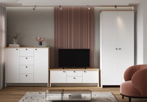 Шкаф платяной Теодора в Шадринске - shadrinsk.ok-mebel.com | фото 4