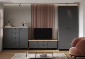 Шкаф платяной Теодора в Шадринске - shadrinsk.ok-mebel.com | фото 3