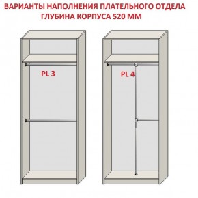 Шкаф распашной серия «ЗЕВС» (PL3/С1/PL2) в Шадринске - shadrinsk.ok-mebel.com | фото 10