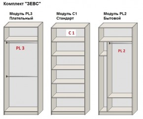 Шкаф распашной серия «ЗЕВС» (PL3/С1/PL2) в Шадринске - shadrinsk.ok-mebel.com | фото 2