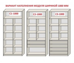 Шкаф распашной серия «ЗЕВС» (PL3/С1/PL2) в Шадринске - shadrinsk.ok-mebel.com | фото 7