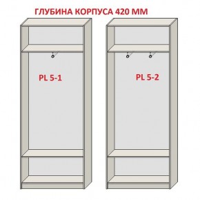 Шкаф распашной серия «ЗЕВС» (PL3/С1/PL2) в Шадринске - shadrinsk.ok-mebel.com | фото 8