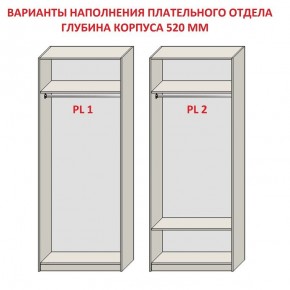 Шкаф распашной серия «ЗЕВС» (PL3/С1/PL2) в Шадринске - shadrinsk.ok-mebel.com | фото 9