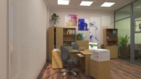 Шкафы для документов Р.Ш-4СБ в Шадринске - shadrinsk.ok-mebel.com | фото 5