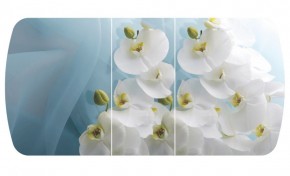 Стол Бостон-3 (Белая Орхидея) 1100/1420*700, опора Брифинг в Шадринске - shadrinsk.ok-mebel.com | фото 2