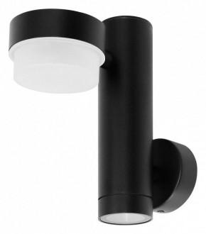 Светильник на штанге Arte Lamp Budapest A2362AL-2BK в Шадринске - shadrinsk.ok-mebel.com | фото