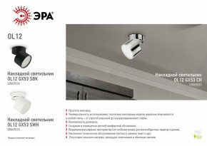 Светильник на штанге Эра OL12 GX53 CH Б0049030 в Шадринске - shadrinsk.ok-mebel.com | фото 3