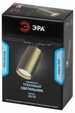 Светильник на штанге Эра  TR39-GU10 BS в Шадринске - shadrinsk.ok-mebel.com | фото 4