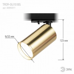 Светильник на штанге Эра  TR39-GU10 BS в Шадринске - shadrinsk.ok-mebel.com | фото 6