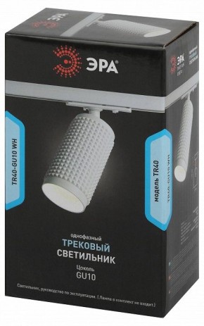 Светильник на штанге Эра  TR40-GU10 WH в Шадринске - shadrinsk.ok-mebel.com | фото 7