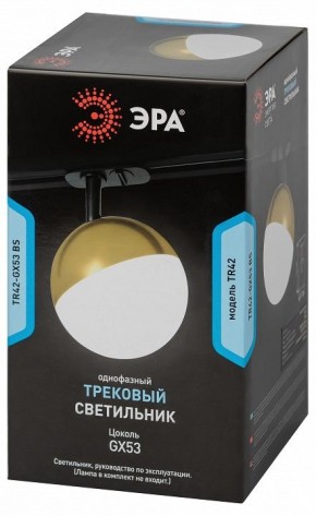 Светильник на штанге Эра  TR42-GX53 BS в Шадринске - shadrinsk.ok-mebel.com | фото 6