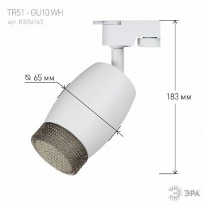 Светильник на штанге Эра  TR51 - GU10 WH в Шадринске - shadrinsk.ok-mebel.com | фото 4