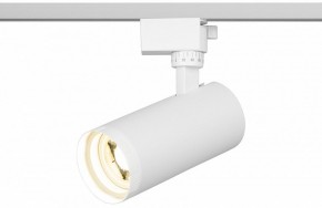 Светильник на штанге Эра  TR59 - 2040 WH в Шадринске - shadrinsk.ok-mebel.com | фото 5