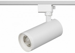 Светильник на штанге Эра  TR59 - 3030 WH в Шадринске - shadrinsk.ok-mebel.com | фото 2