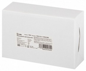 Светильник на штанге Эра  TRM-S5-3-12W4K-BK в Шадринске - shadrinsk.ok-mebel.com | фото 8