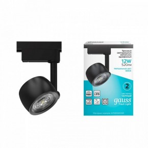 Светильник на штанге Gauss Track Light TR053 в Шадринске - shadrinsk.ok-mebel.com | фото 3