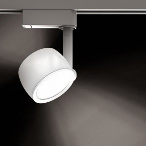 Светильник на штанге Gauss Track Light TR054 в Шадринске - shadrinsk.ok-mebel.com | фото 2