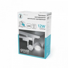 Светильник на штанге Gauss Track Light TR054 в Шадринске - shadrinsk.ok-mebel.com | фото 5