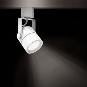 Светильник на штанге Gauss Track Light TR057 в Шадринске - shadrinsk.ok-mebel.com | фото 2