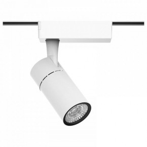 Светильник на штанге Gauss Track Light TR059 в Шадринске - shadrinsk.ok-mebel.com | фото