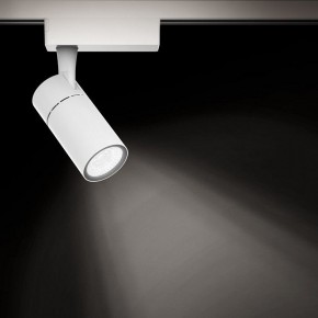 Светильник на штанге Gauss Track Light TR059 в Шадринске - shadrinsk.ok-mebel.com | фото 2