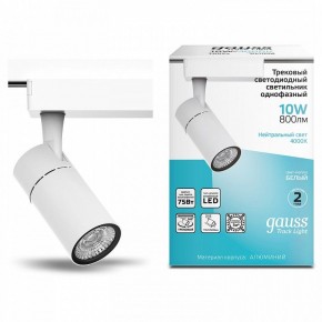 Светильник на штанге Gauss Track Light TR059 в Шадринске - shadrinsk.ok-mebel.com | фото 3