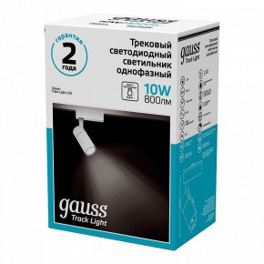 Светильник на штанге Gauss Track Light TR059 в Шадринске - shadrinsk.ok-mebel.com | фото 4