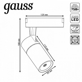 Светильник на штанге Gauss Track Light TR060 в Шадринске - shadrinsk.ok-mebel.com | фото 5