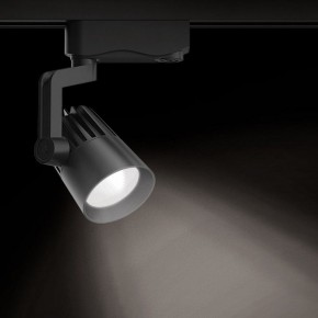 Светильник на штанге Gauss Track Light TR061 в Шадринске - shadrinsk.ok-mebel.com | фото 2