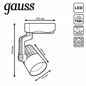 Светильник на штанге Gauss Track Light TR061 в Шадринске - shadrinsk.ok-mebel.com | фото 6