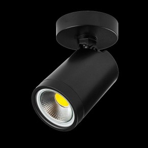 Светильник на штанге Lightstar Rullo 213407 в Шадринске - shadrinsk.ok-mebel.com | фото 2