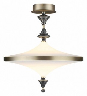 Светильник на штанге Odeon Light Ula 5404/43CL в Шадринске - shadrinsk.ok-mebel.com | фото 2